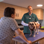 Vétérinaire souriant avec un chien